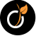 Page viadeo Elijence