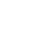 (c) Elijence.com