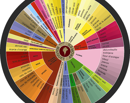 décrire un vin avec familles d'arômes