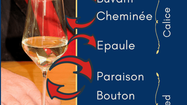 Dans quel verre déguster les vins de Bourgogne ? verre à pied légende
